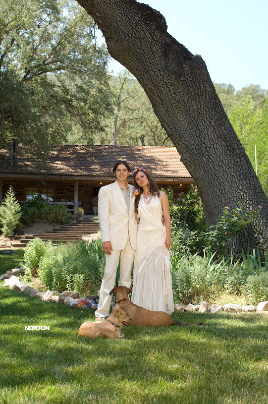 Adam and Tori's Wedding, photograph 257