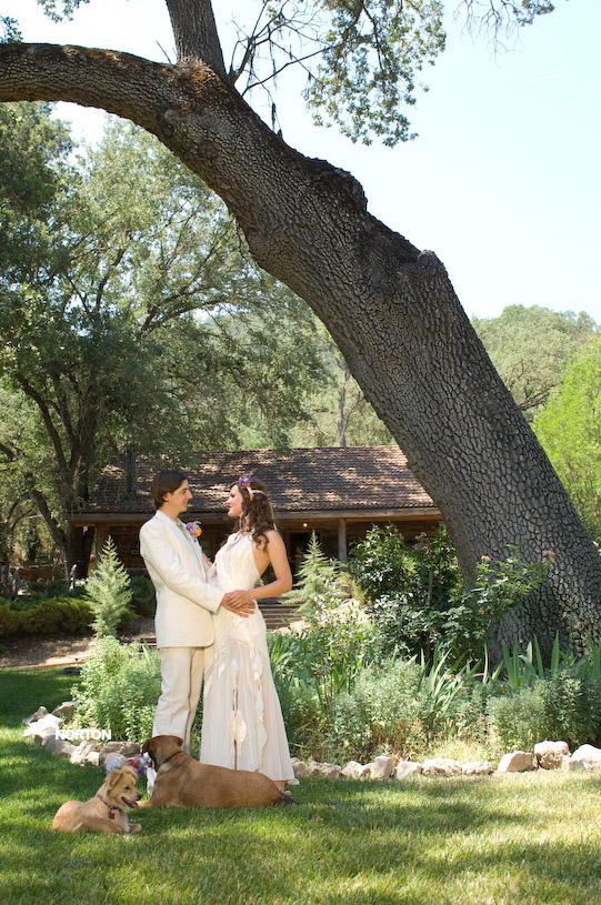 Adam and Tori's Wedding, photograph 258