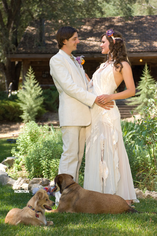 Adam and Tori's Wedding, photograph 259