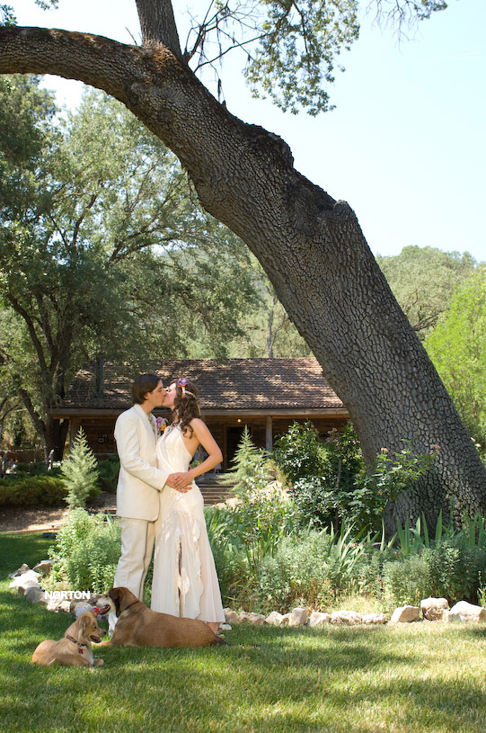 Adam and Tori's Wedding, photograph 260