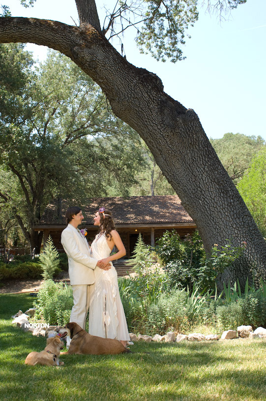 Adam and Tori's Wedding, photograph 261