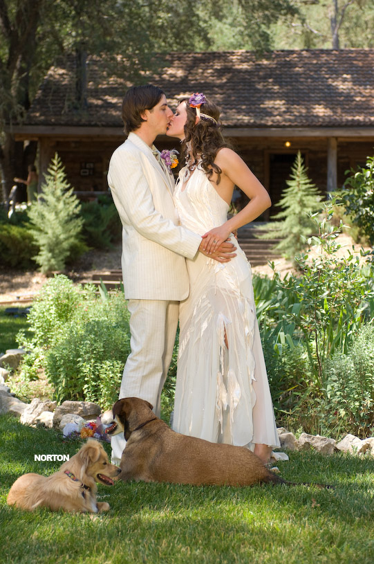 Adam and Tori's Wedding, photograph 262