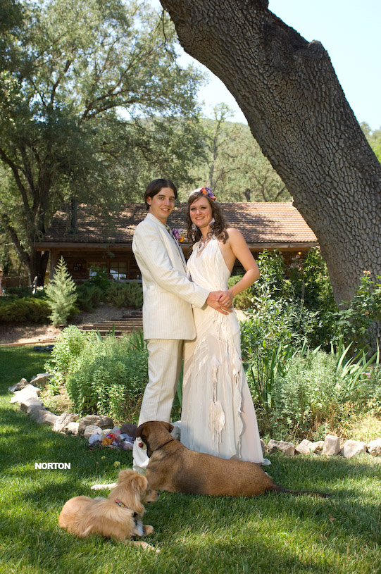 Adam and Tori's Wedding, photograph 263