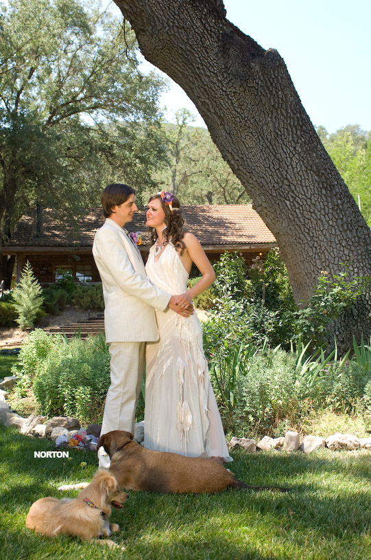 Adam and Tori's Wedding, photograph 265