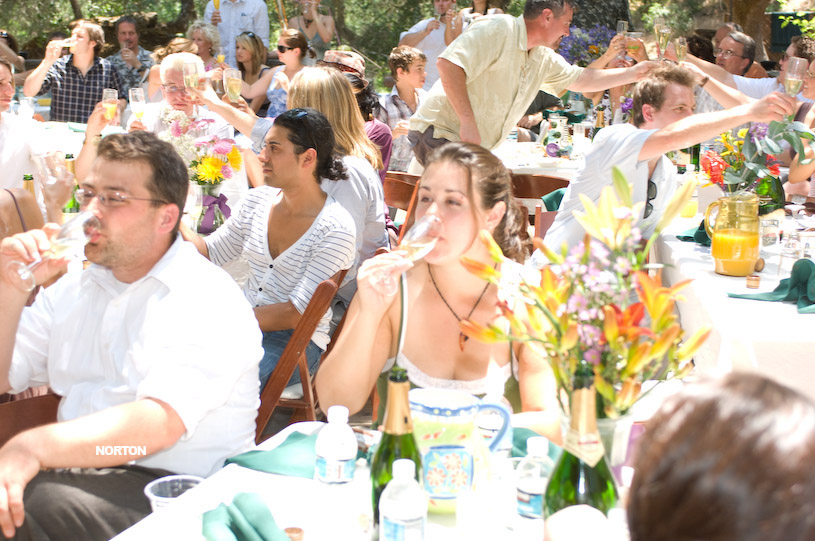 Adam and Tori's Wedding, photograph 295