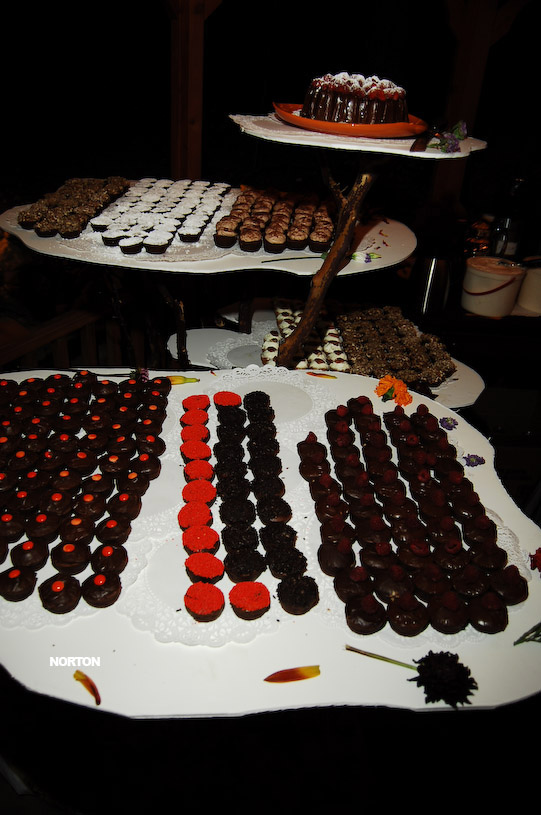 Adam and Tori's Wedding, photograph 334
