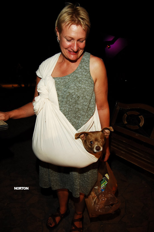 Adam and Tori's Wedding, photograph 419