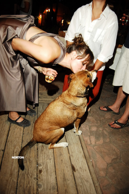 Adam and Tori's Wedding, photograph 470