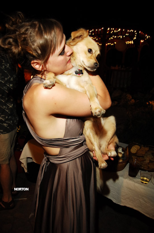 Adam and Tori's Wedding, photograph 472