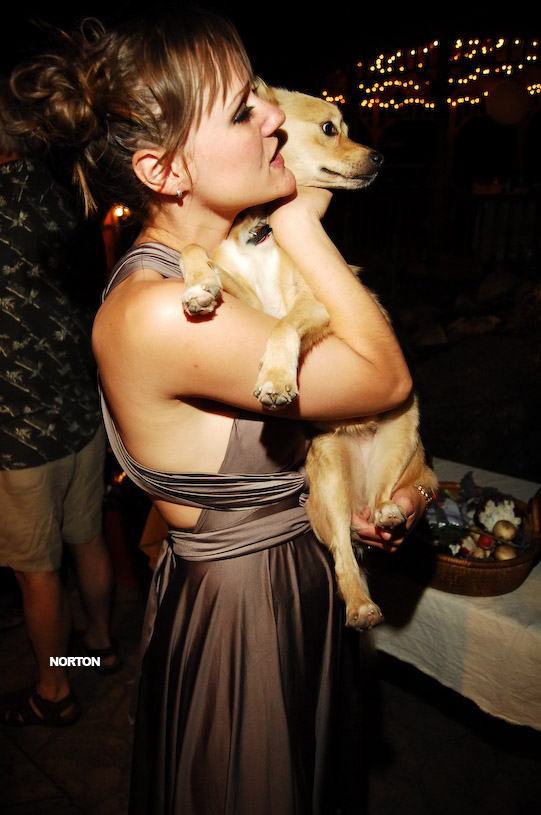 Adam and Tori's Wedding, photograph 474